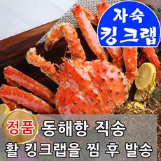 킹크랩선어
