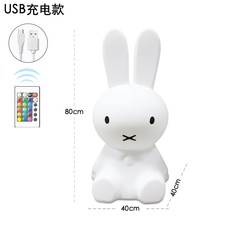 LED 조명 램프 무드등 수면등 미피 토끼 코니 수유등 (3 size) 무지개컬러LED, 토끼 80CM USB 충전 모델 색변화 리모콘