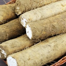 태산농장산마5kg