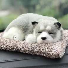 리얼펫강아지