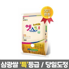 잔티나