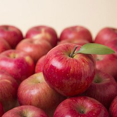 청송 얼음골 사과 홍로 꿀 사과 2kg 5kg 당일수확 당일배송, 홍로사과 (소) 2kg