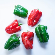 홍피망(상)10kg