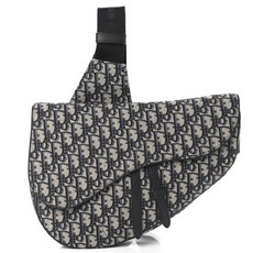 디올남자크로스백