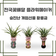 승진선물 개업선물 ...