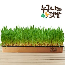 24f2eecaa899a61e9afcce743af9343bcd7f0d2a8c328a7bd7ab2543be59.jpg