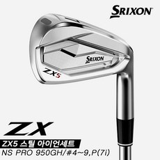 zx5아이언