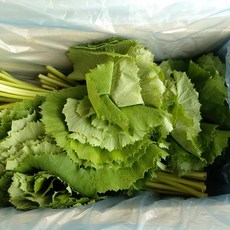 칠산해