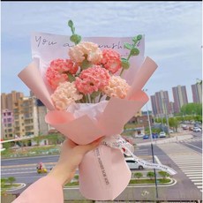 카네이션 꽃다발 꽃 뜨기 코바늘 재료 패키지 DIY