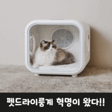펫 드라이룸 강아지 고양이 드라이기 (소형견용-7kg이하)