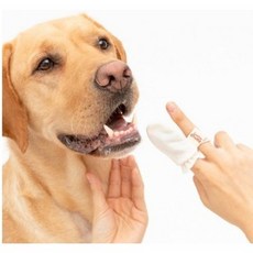 래핑찰리오가닉