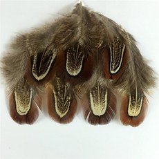50 pcs 자연 꿩 깃털 깃털 5-8 cm diy 쥬얼리 액세서리 만들기 저렴한 깃털 웨딩 장식 판매