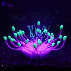 c5f2ce7370e0f284250dc1c1b11e568698850825c7544927a8db2ec855c7.jpg