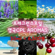 딥디크새틴오일