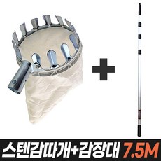 감나무장대