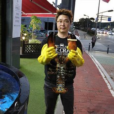 캐나다 활 점보 랍스타 1.3-2.8kg 바닷가재 랍스터, 1마리, 2.5kg