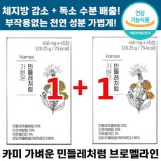 가벼운민들레처럼