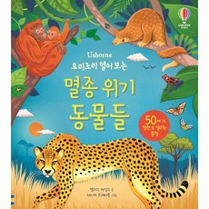 요리조리열어보는우주