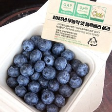 블루베리생과-추천-상품