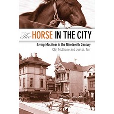 도시의 말 : 19 세기의 살아있는 기계, 단일옵션
