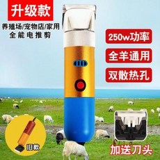 고양이수염양모