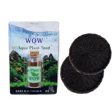 yula의자수화초처방전