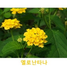 c23abeaff59a49fa3a5b82b71d8cf66e1760f7c6b76f816f2799b022a1dc.jpg