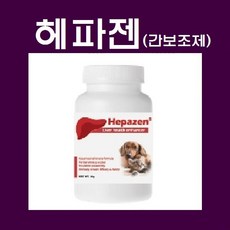 헤파젠 유통기한 2021년/9 이후