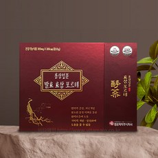 발효홍삼성분 효삼포르테 (180캡슐)