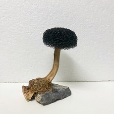 수조 식물 이끼 나무 장식 조경 뿌리 유목 수생 잔디 수족관 액세서리 없음, 10-15cm 1헤드, 1개