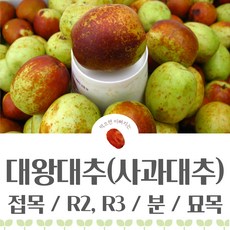 baf5921f4903a9b1a75d67c1270b5ce74e56b1d3440ac0c96de92049f9de.jpg