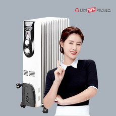 대성쎌틱라디에이터