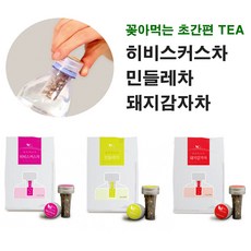 돼지감자차페트병