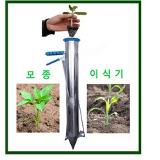 고추모종심기