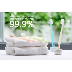 켄트 프리미엄 초극세모 칫솔 1개(색상 랜덤) 미세모 영국왕실브랜드 치과칫솔, 콤팩트 칫솔 1개