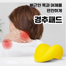 목디스크쿠션