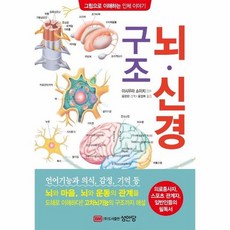 의학뇌구조그림