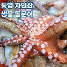 죽도시장문어가격