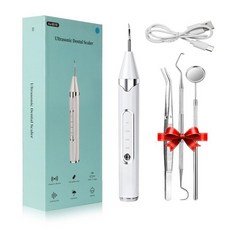 구강세정기 물치실 치과 스케일러 울트라 소닉 치아 클리너 스톤 제거 전기 플라크 얼룩 치석 제거기, 1개