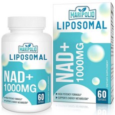 Pure 리포솜 NAD+ 보충제 1000mg | 폰테시 흡수| 에너지 및 DNA 방어 뇌 기능 60일 분량, 60 Count (Pack of 1)