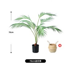 쉐프렐라