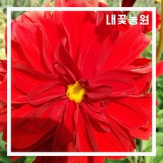 429dd05bbcd9227a6594977c104c5da11db20cbeedae66272bf9d76fd687.jpg