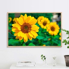 두꺼비집원목커버