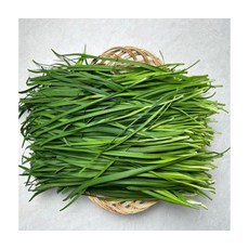 신선채소 국내산 부추 1kg, ONE COLOR, ONE SIZE