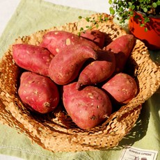 늘푸른 무안 이유있는 알뜰 고구마 10kg 파지, 1개, 파지10kg