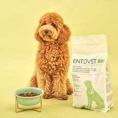 엔토벳