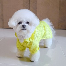 레인코트도트