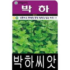 [워터트리몰] 박하 씨앗(50립) 채소 꽃 종자 재배 씨앗 허브 나무 (A)
