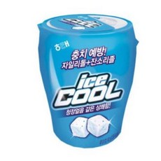 대동해모로아이스쿨