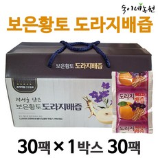 숙이네농원 물넣지않은 보은황토 도라지배즙 30팩100ml, 100ml, 30팩